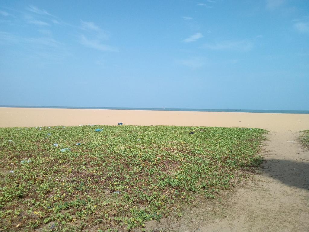 Yoho Mango House Hotell Negombo Eksteriør bilde